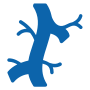 Neuromusculoskeletal Medicine