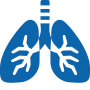 Heart & Lungs